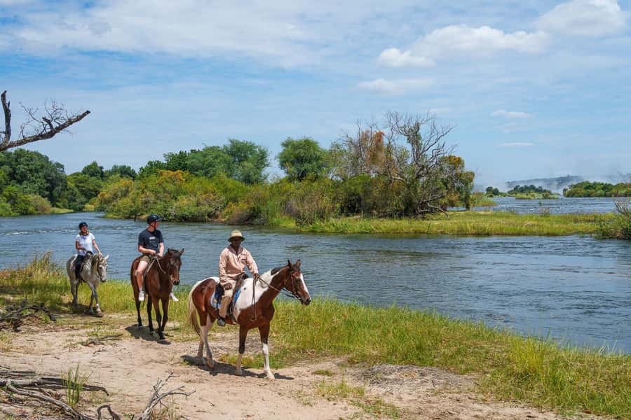 Victoria Falls National Park: Horseback Safari - The animals you may track