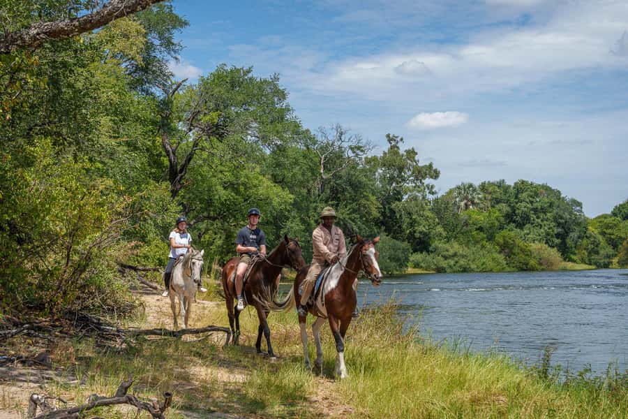 Victoria Falls National Park: Horseback Safari - Why the small group changes the experience
