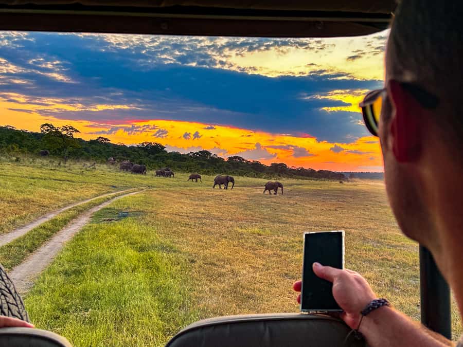 Victoria Falls: Night Game Drive Zambezi National Park - Key points to know before booking
