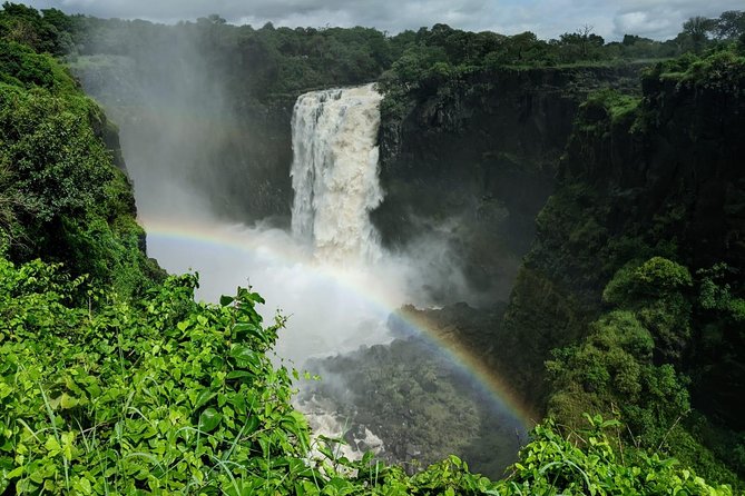 Victoria Falls Private Guided Sunrise Tour - What the guides add to the walk