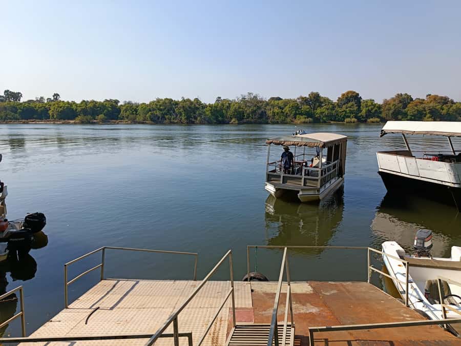 Victoria Falls: Private Zambezi River Birdwatching Safari - The birds you have a real chance to see
