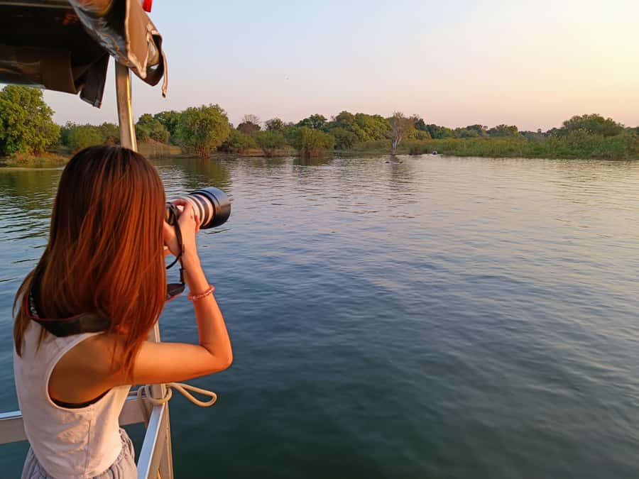 Victoria Falls: Private Zambezi River Birdwatching Safari - What the two to three hours look like