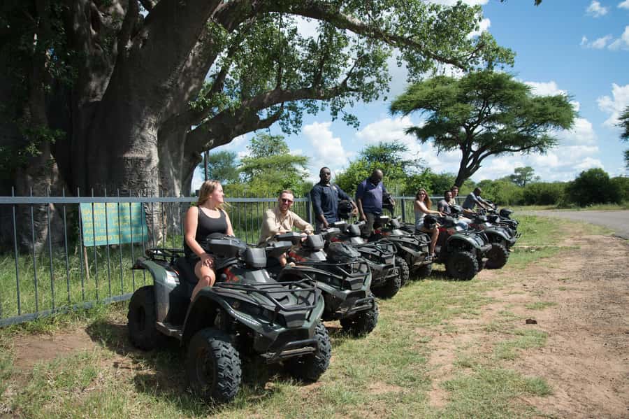 Victoria Falls Quad Bike Adventure - The Big Tree, a baobab with serious age