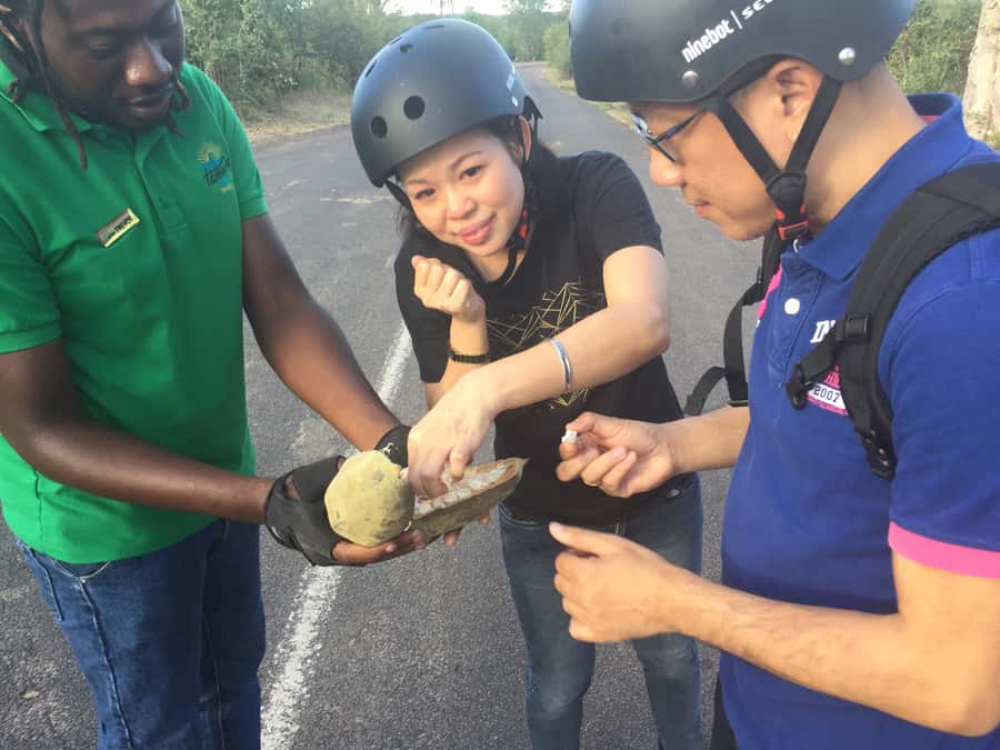 Victoria Falls Segway Tour - Starting in town with a short training session