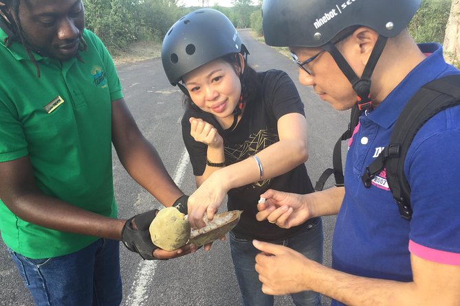 Victoria Falls Segway Tour - What the $67 price really covers