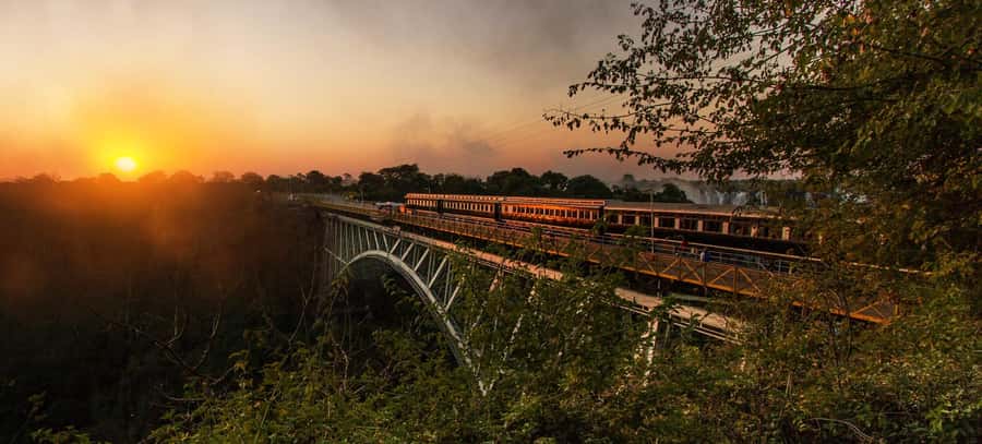 Victoria Falls Segway Tour - The Big Tree and a useful photo stop