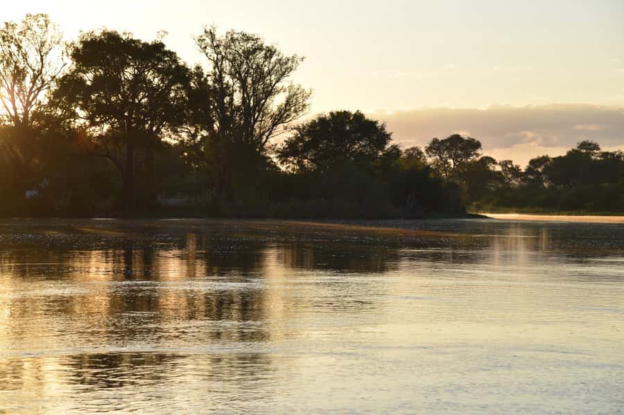 Victoria Falls: Sunrise Cruise on the Zambezi River - Birds, hippos, crocodiles, and the slow morning view