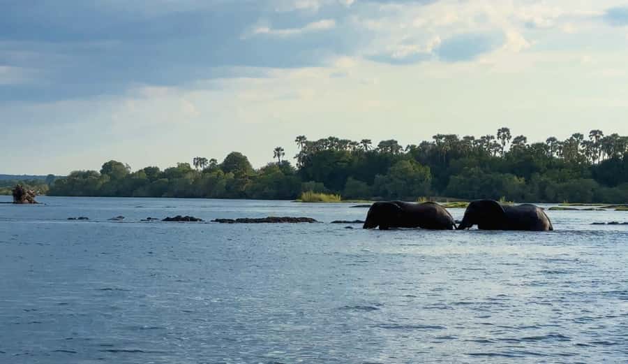 Victoria Falls: Sunset Cruise on the Zambezi River - Local stories make the ride more than a view