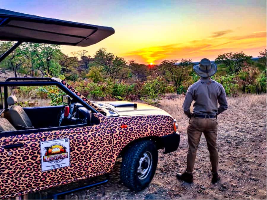 Victoria Falls: Vulture Safari and Bush Walk - Guides, safety, and the feel of the outing