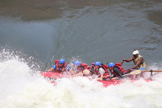 Victoria Falls: Whitewater Rafting + Chobe Safari Combo - Crossing into a wildlife day at Chobe National Park