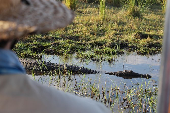 Victoria Falls: Whitewater Rafting + Chobe Safari Combo - What the game drive and boat safari each offer