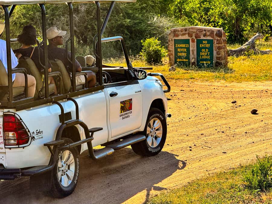 Victoria Falls: Zambezi National Park Game Drive - Who should choose the morning or afternoon drive?