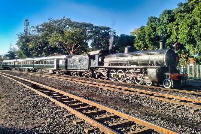 Walking Safari of Victoria Falls Town - Returning through the bush to N1 Hotel