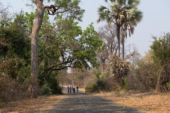 Wild Horizons Bike Tour (Zimbabwe) - Town markets, shops, and the local view