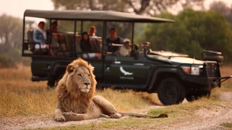 Zambezi 3hr Game Drive - Key points at a glance