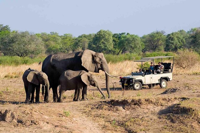 Zambezi National Park AM or PM Game Drive - Choosing a Morning or Afternoon Game Drive