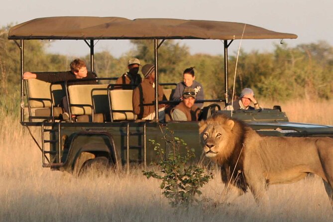 Zambezi National Park AM or PM Game Drive - What the Two-and-a-Half-Hour Drive Is Like