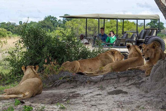 Zambezi National Park AM or PM Game Drive - Wildlife You Could See in Zambezi National Park