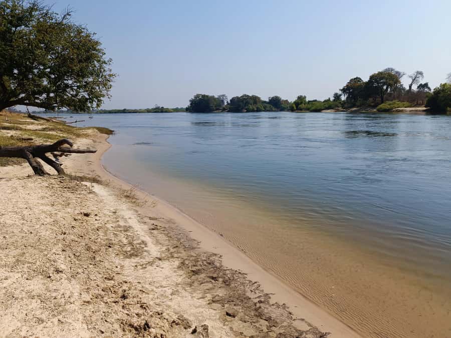 Zambezi National Park Private Wildlife Safari (4 - 10 hours) - Mammals, birds, and the luck factor