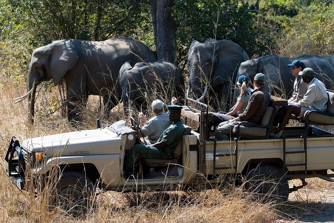 Zambezi Sunset Cruise + Game Drive Safari with hotel Pick Up - The upper Zambezi sunset cruise