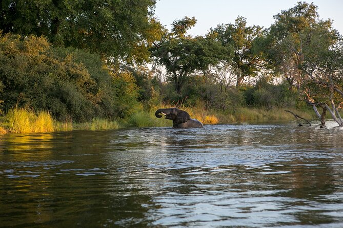 Zambezi Sunset Cruise – Wildlife, Drinks & Breathtaking Views - Why a Zambezi sunset cruise works so well